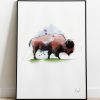 David Marston Art - Big Bad Bison