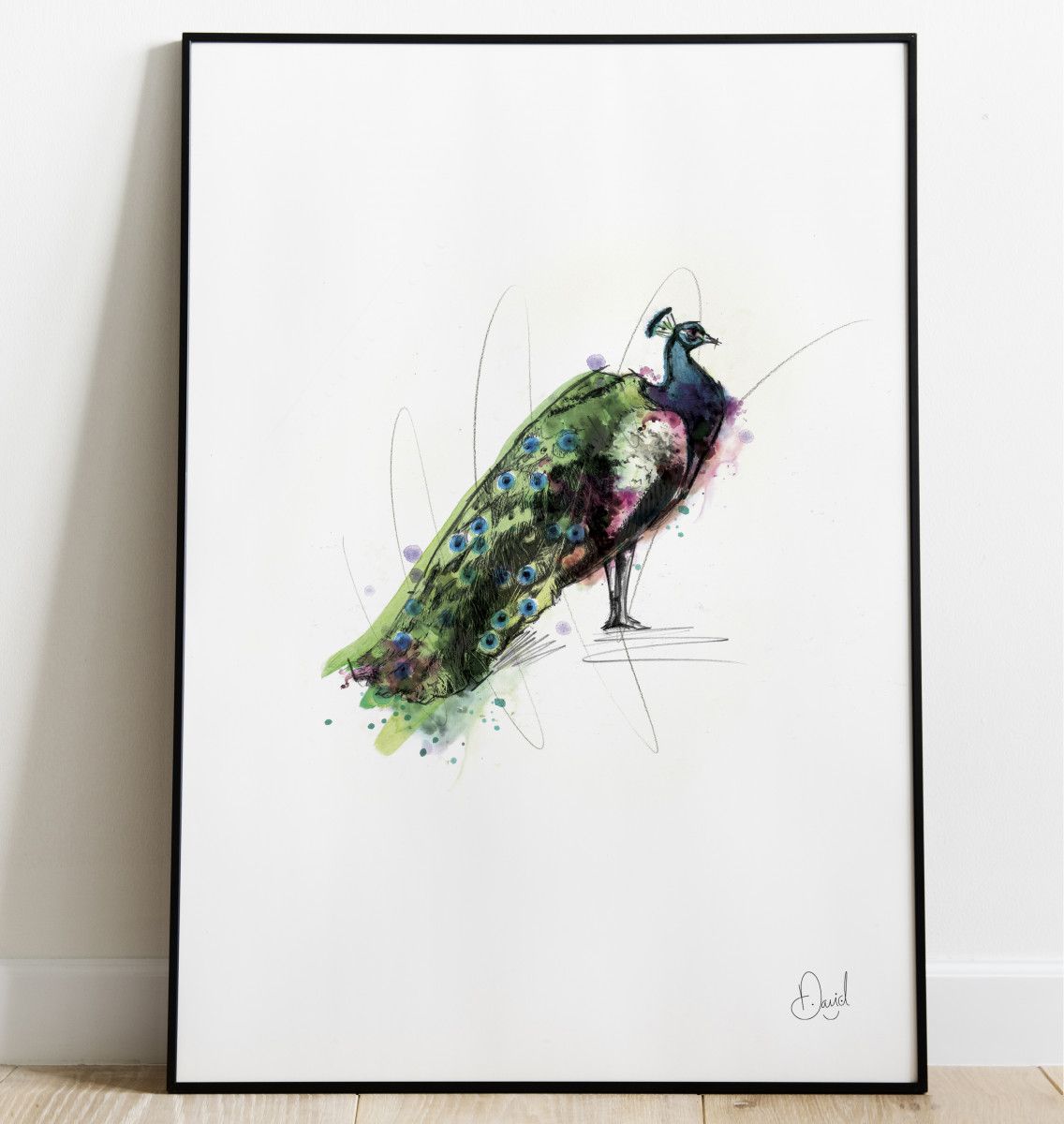 Peacock - Proud as a peacock art print