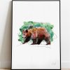 0315 Dm Grizzly Bear Bear With A Sore Head Print Frame Port Web