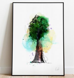 Little Redwood riding hood - Tree art print